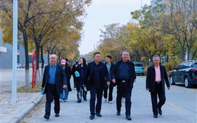 排球競逐 健步同行——武威職業(yè)技術(shù)大學(xué)組織開展教職工文體活動(dòng)